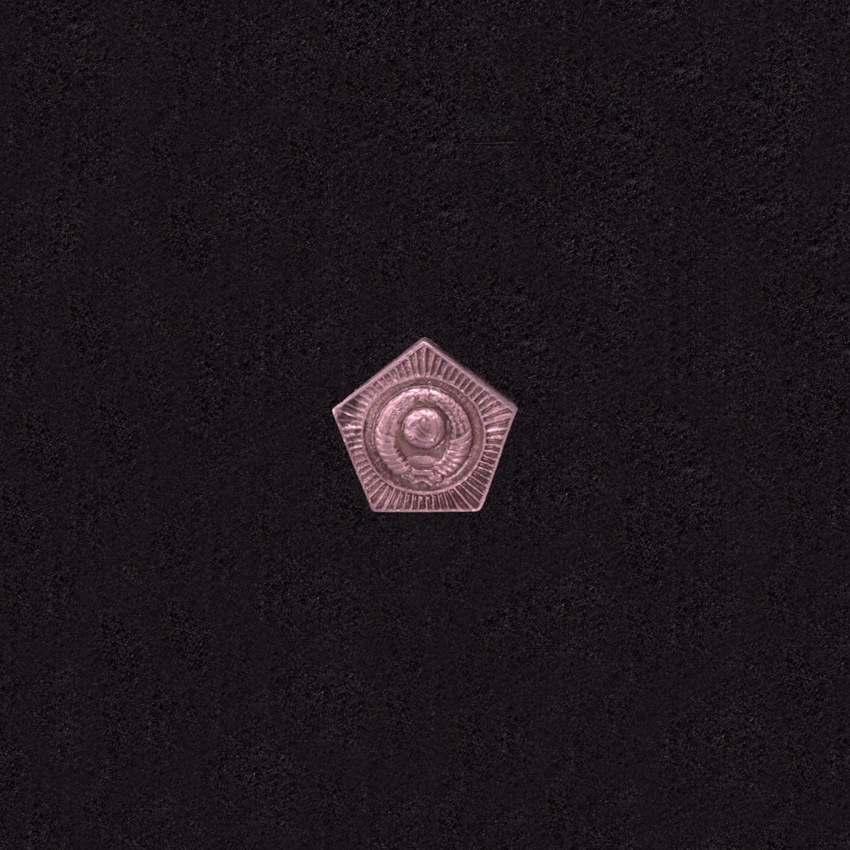 Moon flag