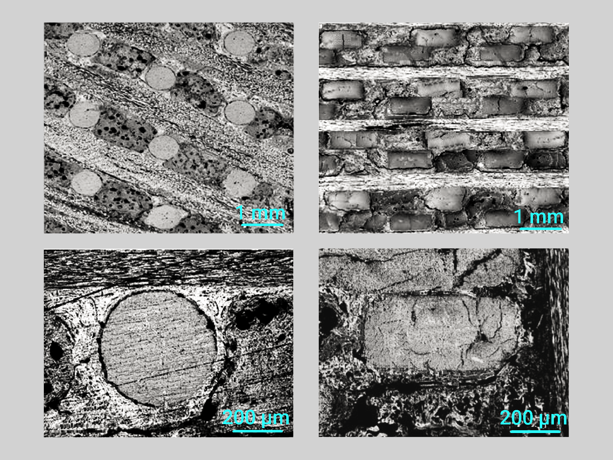 Microstructure of C/C composite