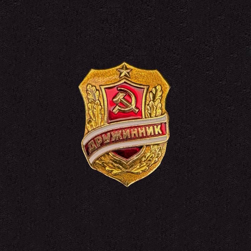 Voluntary People's Druzhina