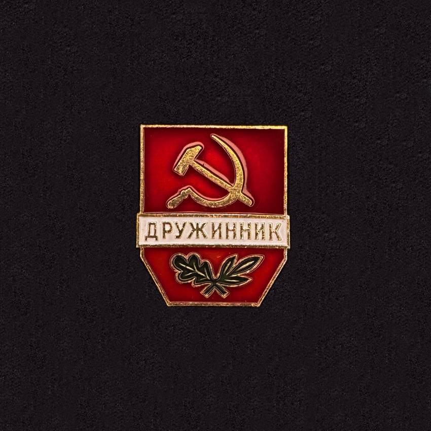 Voluntary People's Druzhina